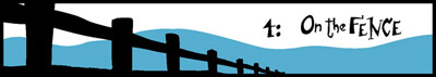 4: On the Fence